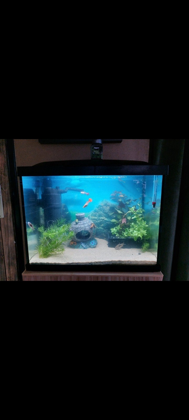 leeg aquarium incl alles, Ophalen, Zo goed als nieuw, Leeg aquarium