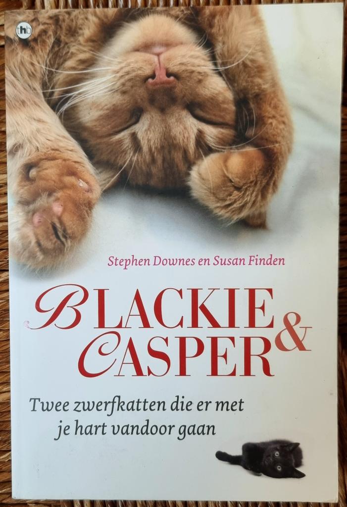 Blackie & Casper - Stephen Downes & Susan Finden 2 boek in 1, Boeken, Ophalen of Verzenden, Zo goed als nieuw, Katten, Stephen Downes; Susan Finden