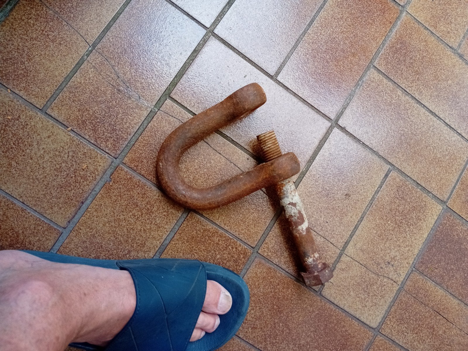 Zware roestige harpsluiting, Ophalen