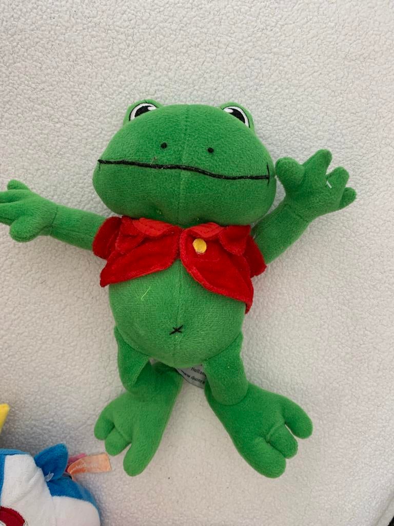 Duinrell kikker knuffel, Ophalen of Verzenden, Zo goed als nieuw, Kikker