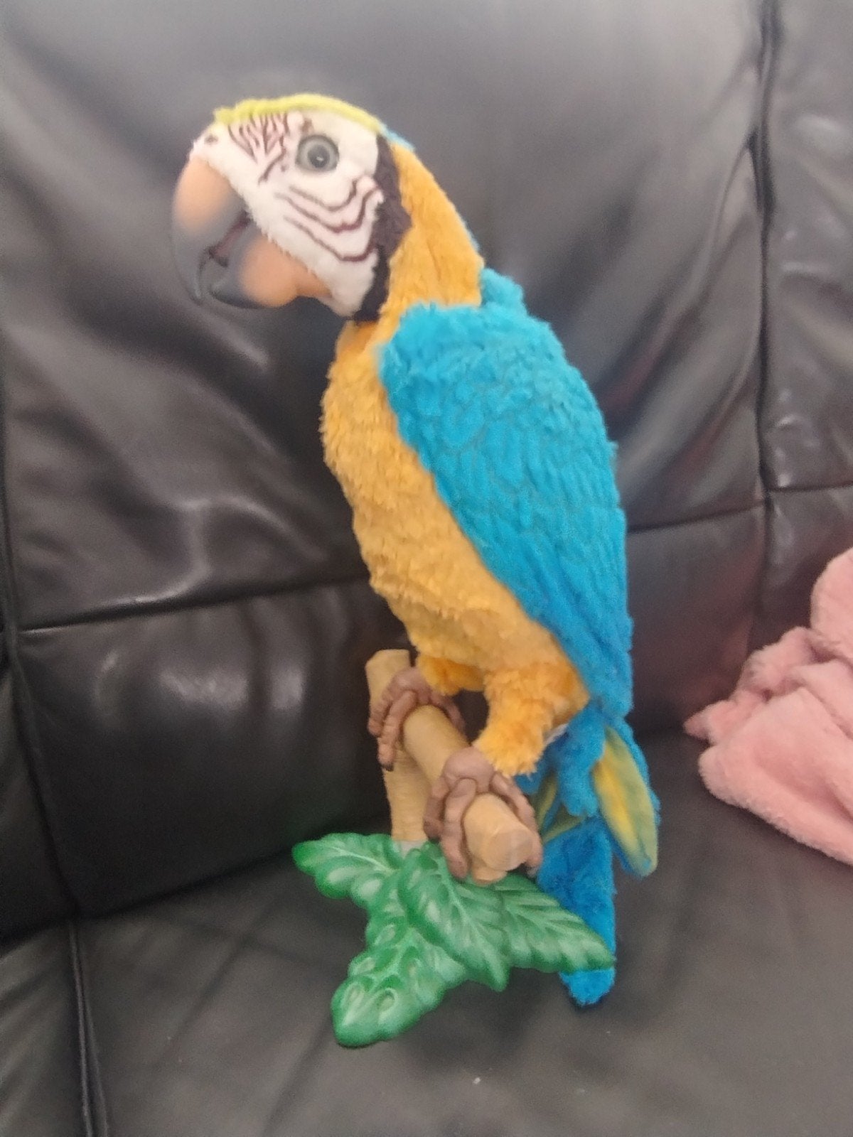 🔴 Coco de papagaai 2007 hasbro, Ophalen of Verzenden, Overige typen