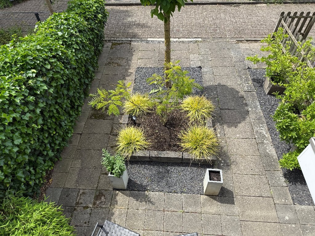 GRATIS - Gebruikte tegels betontegels tuin stoep tegels, Ophalen, Gebruikt, 10 m² of meer, Beton