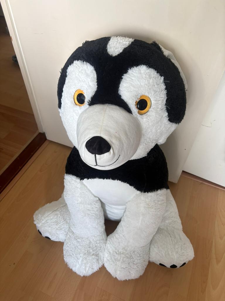 Grote Zwart-Witte Husky Knuffel - Zo goed als nieuw, Kinderen en Baby's, Speelgoed | Knuffels en Pluche, Overige merken, Overige karakters