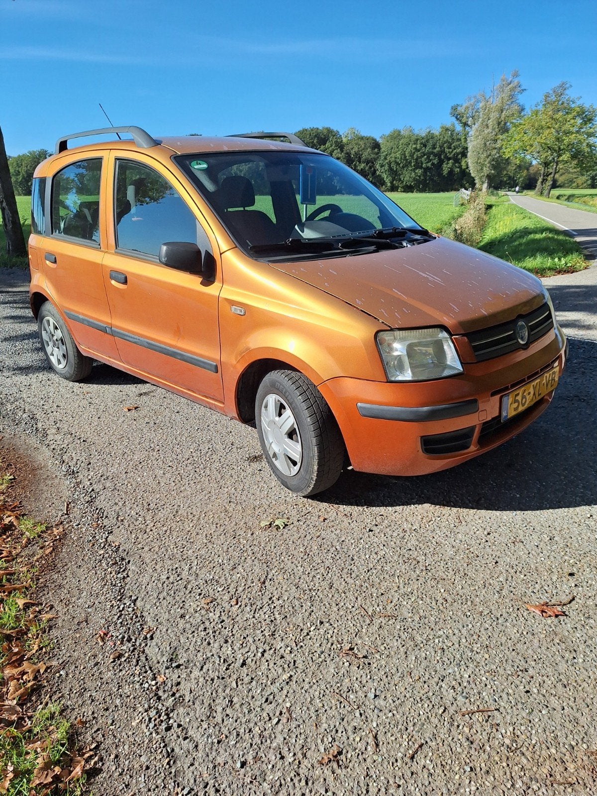 Fiat Panda 1.2 44KW 60PK 2007, Voorwielaandrijving, Stof, Radio, Origineel Nederlands