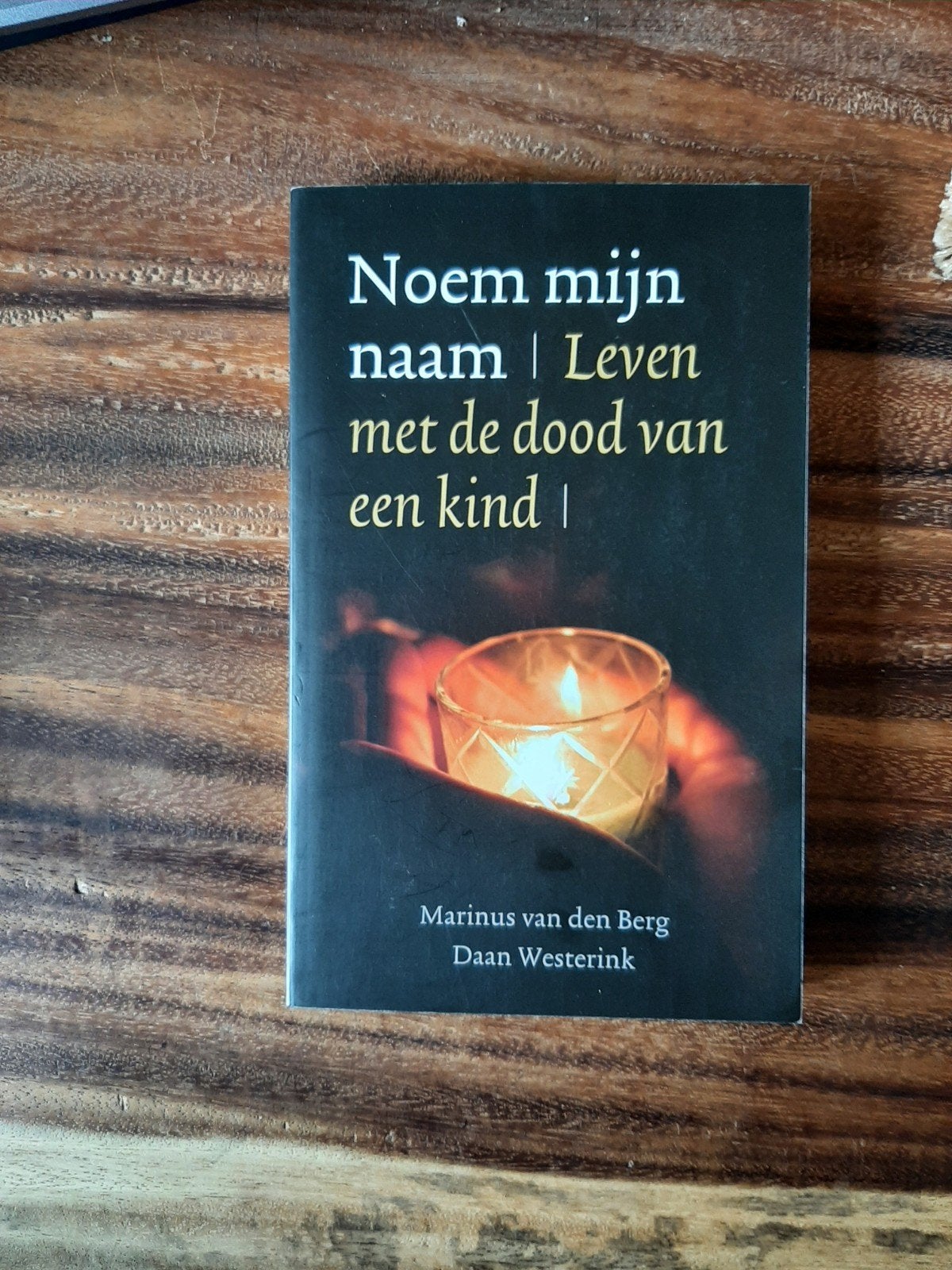 Daan Westerink - Noem mijn naam,Boek als nieuw en gesigneerd, Sociale wetenschap, Ophalen of Verzenden, Zo goed als nieuw, Daan Westerink; Marinus van de Berg