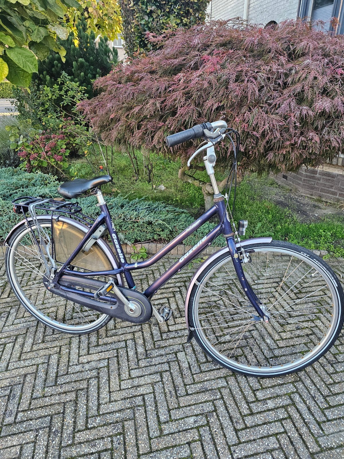 Gazelle damesfiets in goede staat, Ophalen, Velgrem, Versnellingen, Gazelle