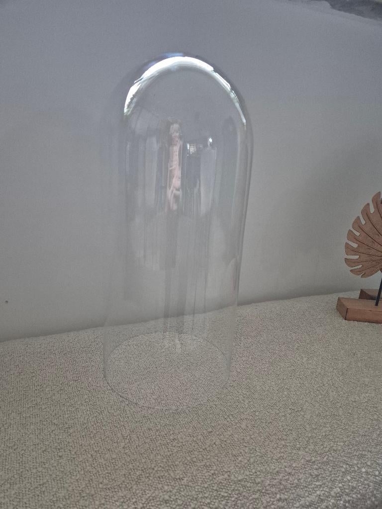 Glazen stolp groot 40 cm., Huis en Inrichting, Woonaccessoires | Stolpen, *, Nieuw, *, Ophalen