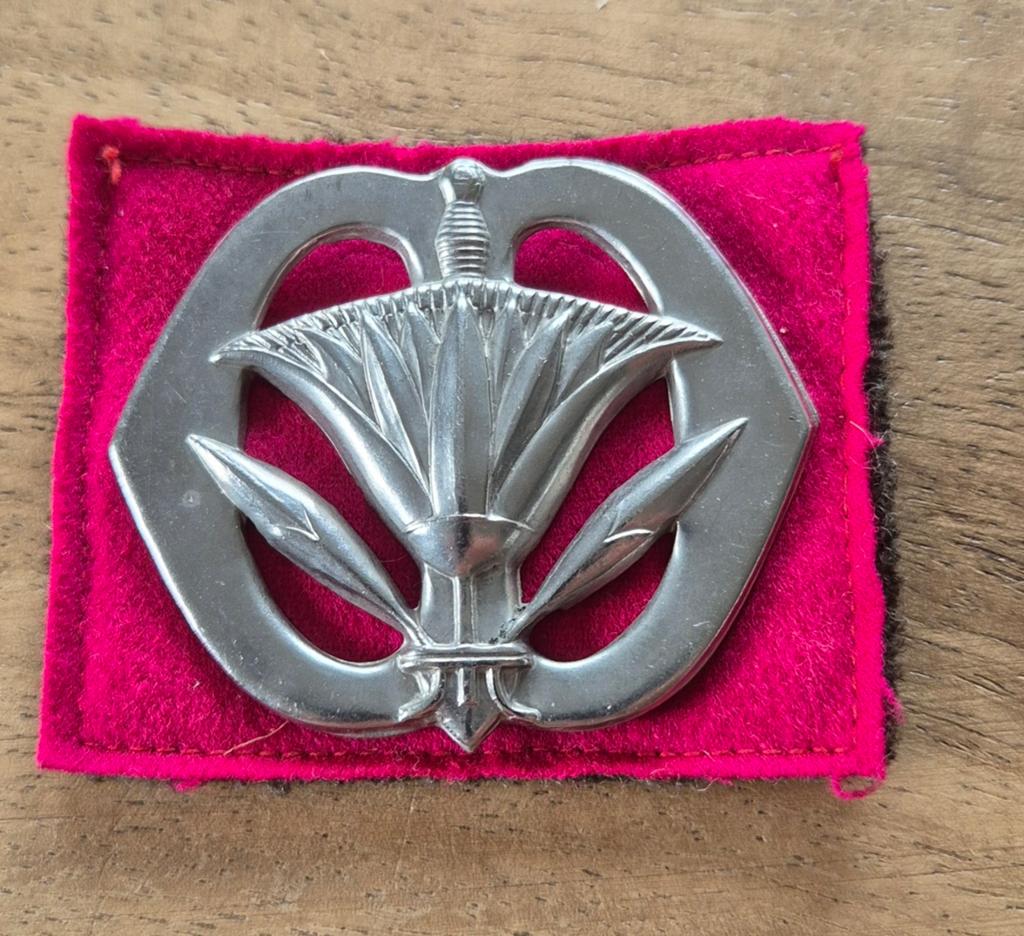 Baretembleem Militaire Administratie, buiglippen, Ophalen of Verzenden, Landmacht, Nederland, Embleem of Badge