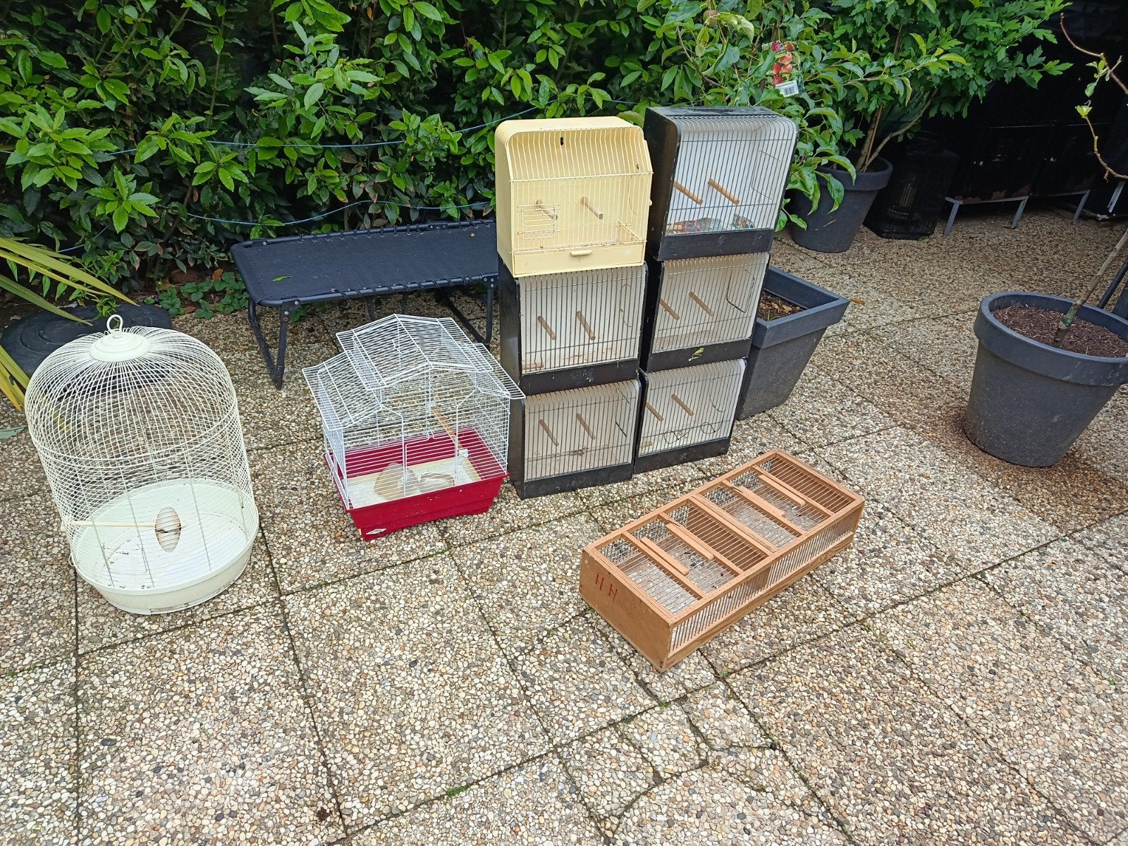 Te koop, Ophalen, Hout, Vogelkooi