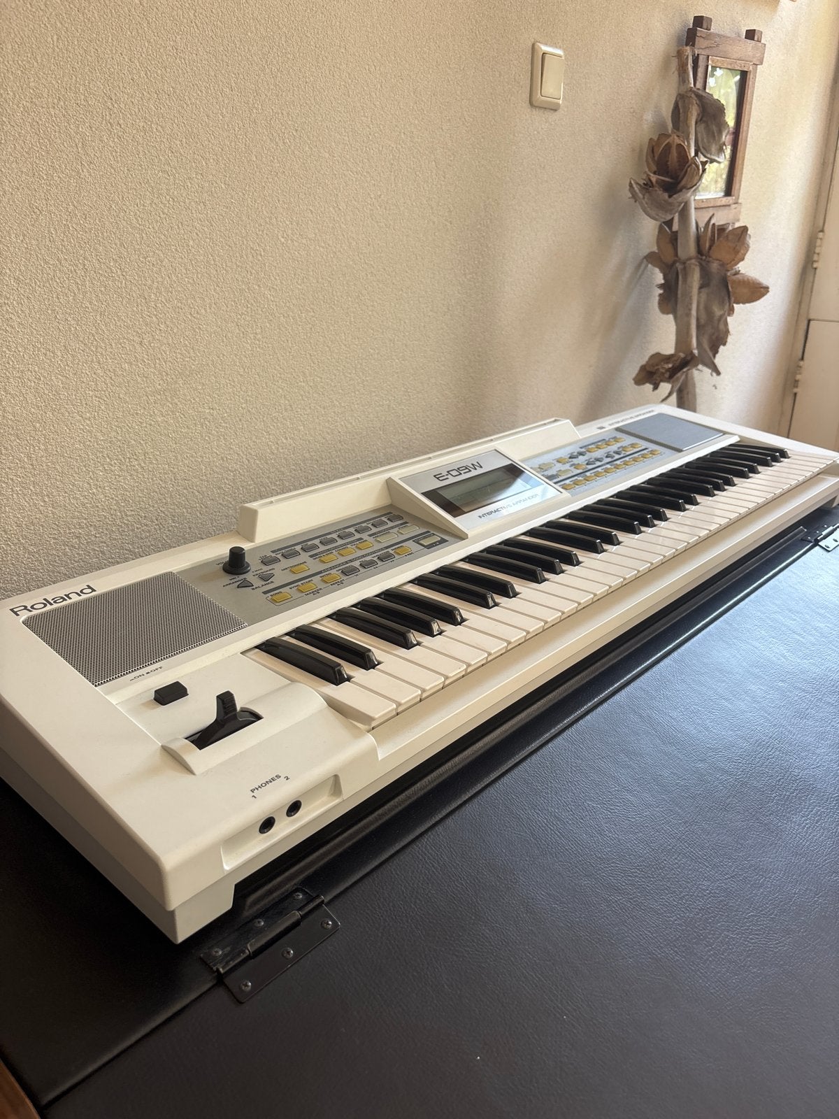 Roland E-09W Interactieve Arranger Keyboard, Ophalen, Roland, Aanslaggevoelig, 61 toetsen