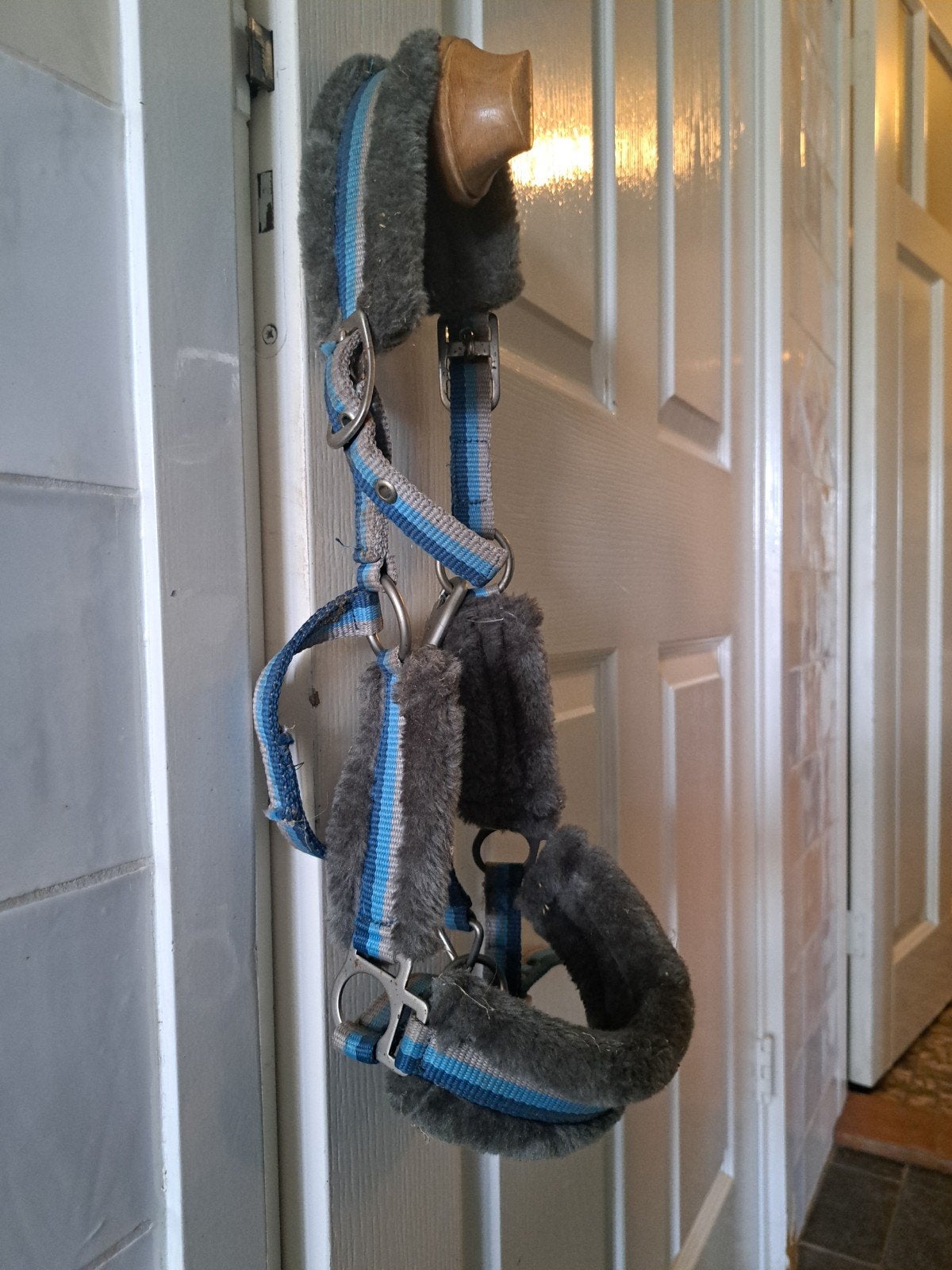 pony halster bont, Dieren en Toebehoren, Ophalen of Verzenden, Nieuw