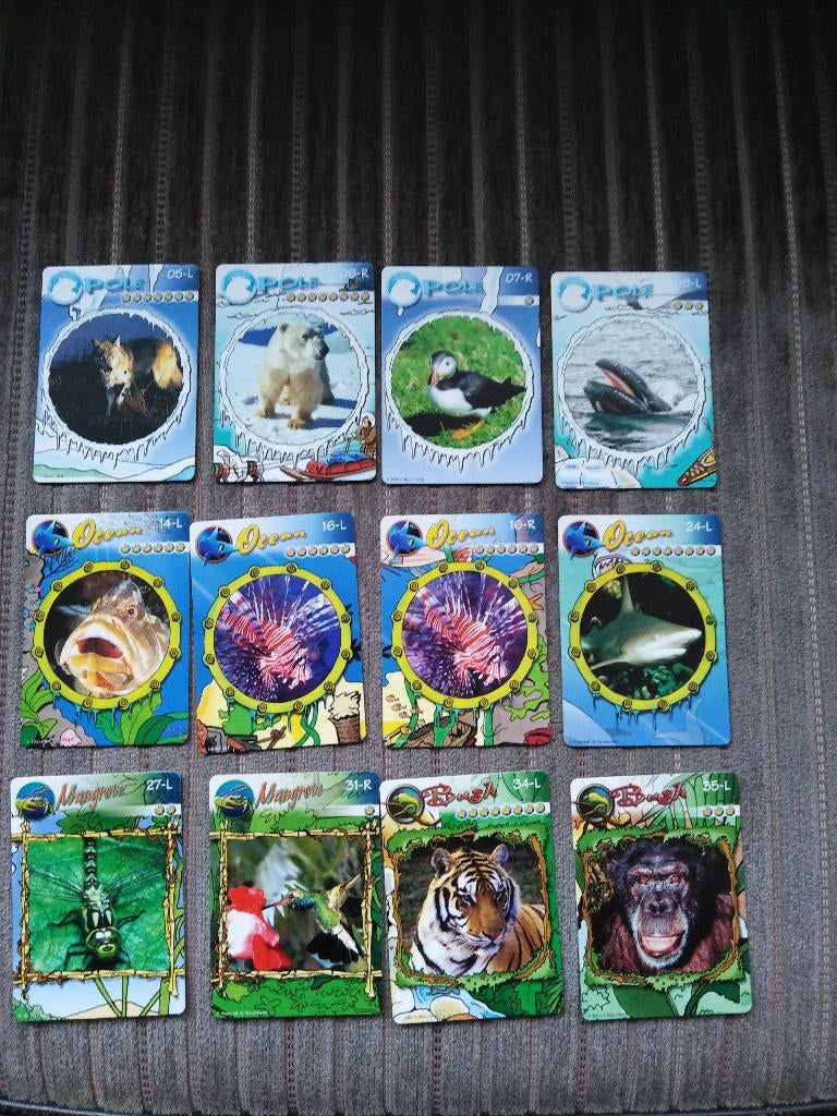 12 JETIX 3D Jungle Cards - Super de Boer, Verzamelen, Supermarktacties, Super de Boer, Ophalen of Verzenden