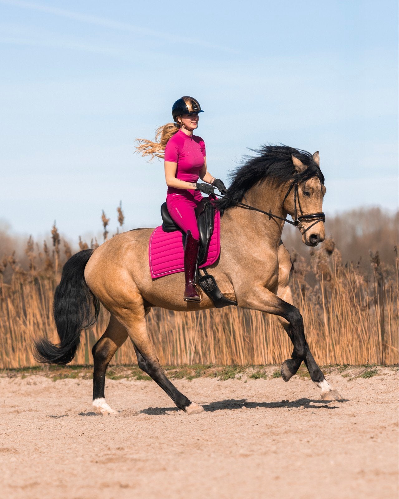 Handige ruiter / bijrijder gezocht, Dieren en Toebehoren, Stalling en Weidegang, Toebehoren, 1 paard of pony