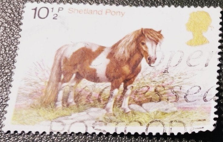 Engeland - Mi 770 - 1978 - Shetland pony - Paard - PDi01-01, Verzenden, Gestempeld, Dier of Natuur