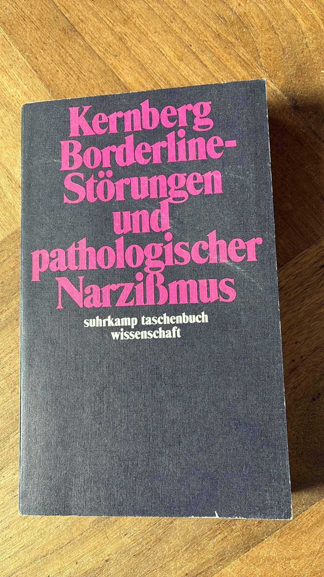 Kernberg borderline, Boeken, Ophalen of Verzenden, Zo goed als nieuw
