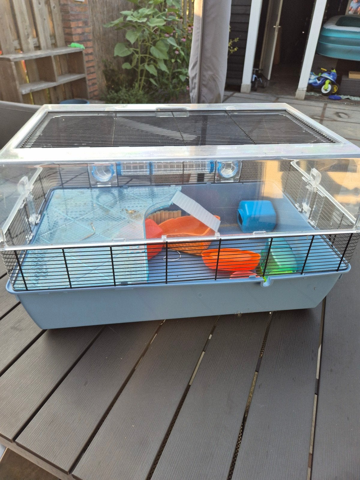 hamsterkooi met loopwiel, transportkooitje etc, Ophalen, Minder dan 75 cm, Kooi, Minder dan 60 cm
