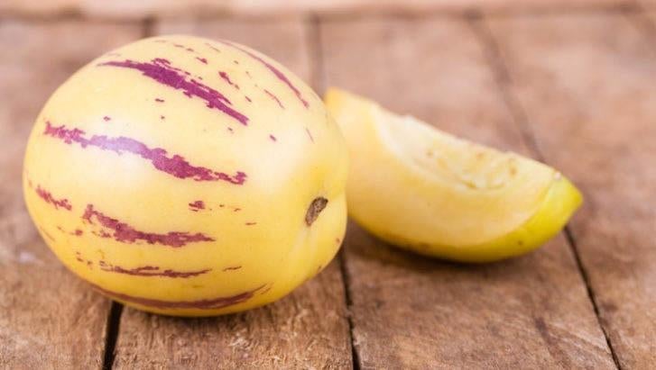 Biologische pepino of meloenpeer planten, Ophalen of Verzenden, Eenjarig, Groenteplanten, Volle zon