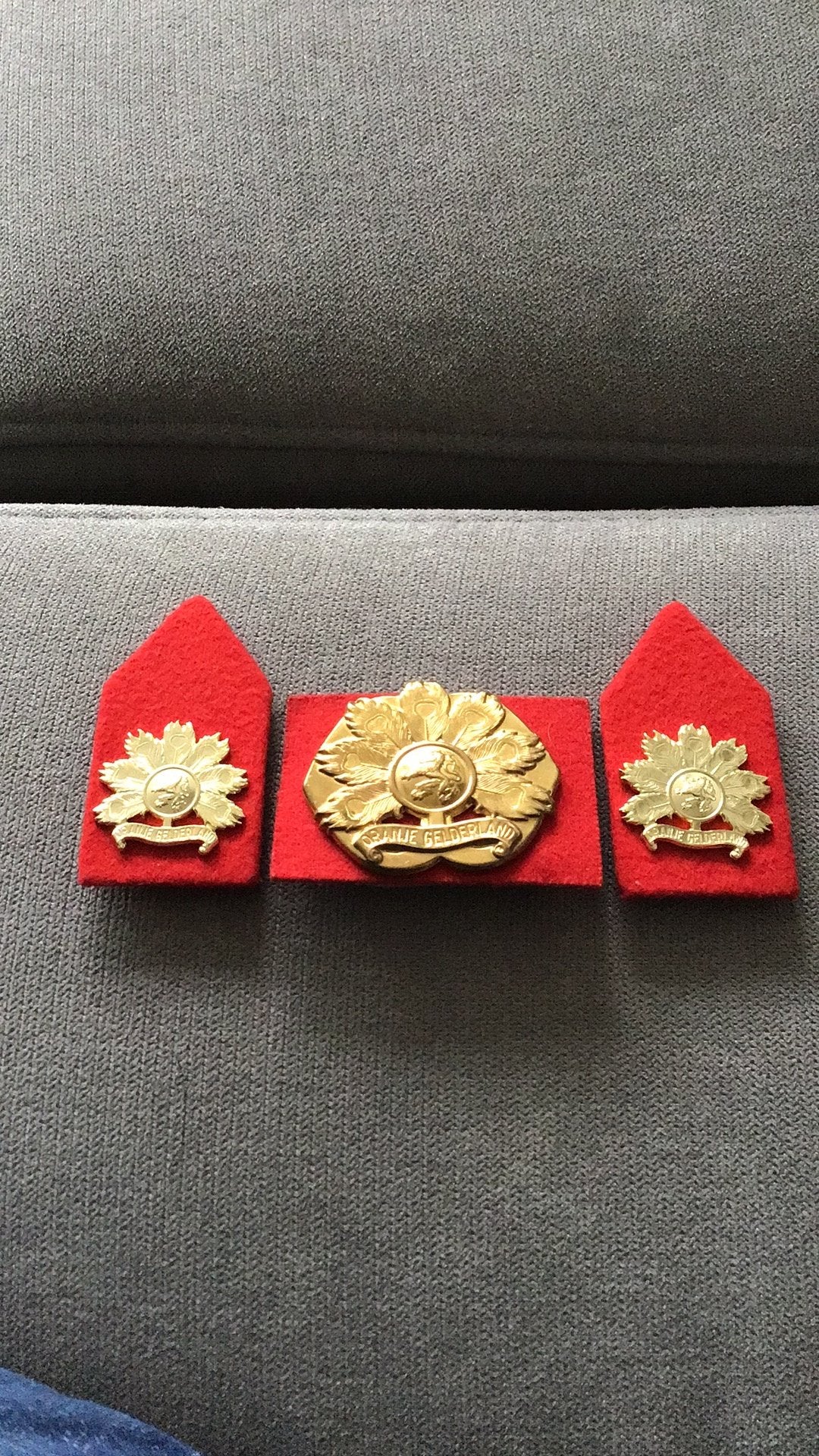 Baretembleem en Kraagspiegels Oranje Gelderland, Ophalen of Verzenden, Landmacht, Nederland, Embleem of Badge