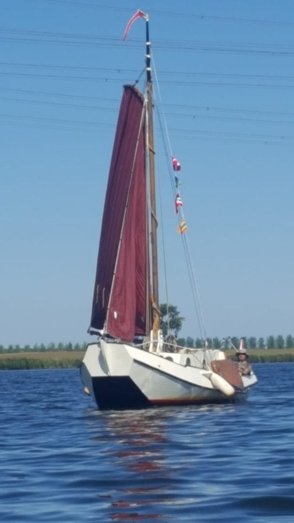 Zeilboot frieseschouw, Watersport en Boten, Zeilen en Zeiltoebehoren, Gebruikt, Overige typen, 15 tot 30 m², 6 meter of meer, Ophalen of Verzenden