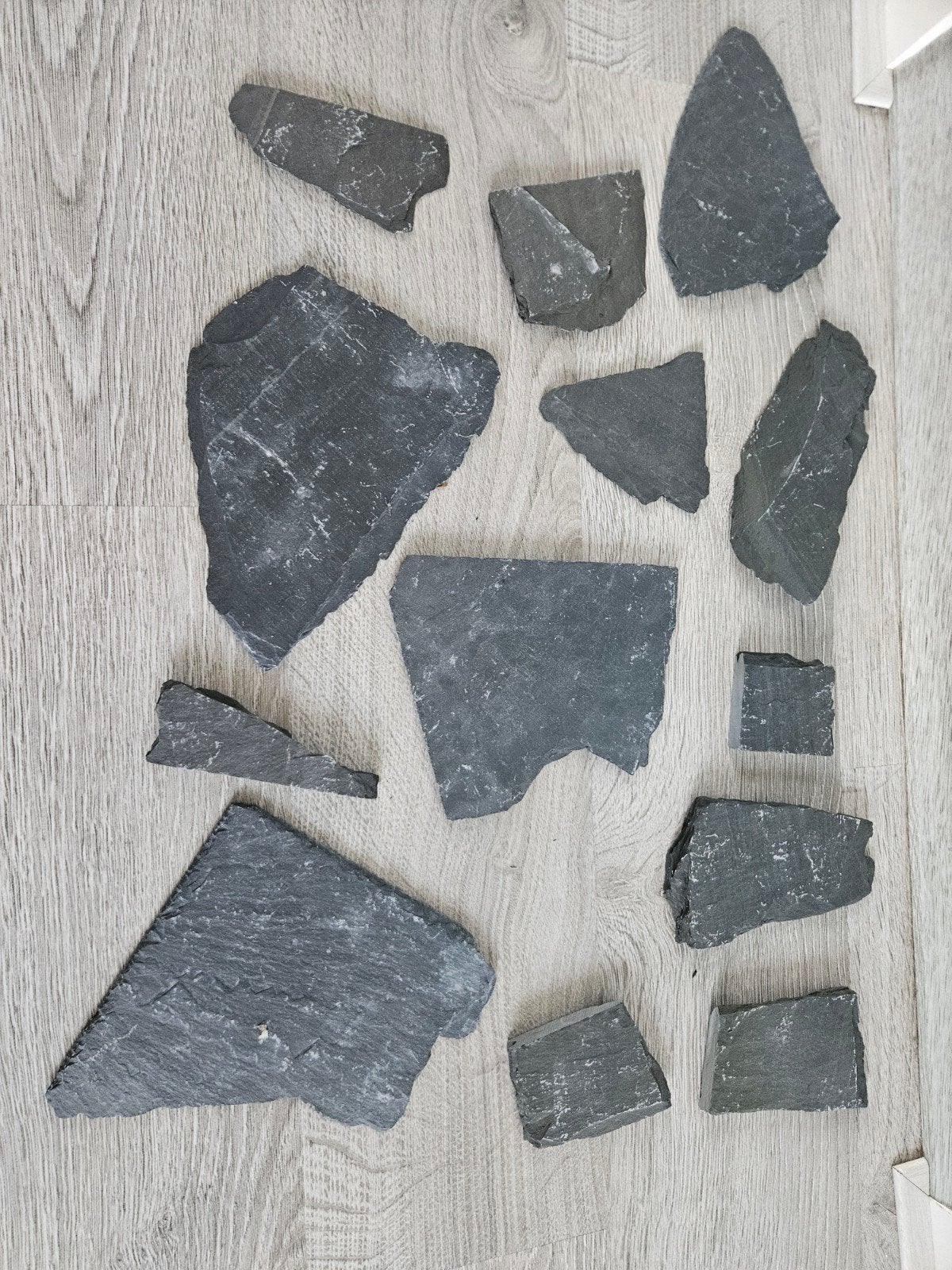 Diverse collectie  schelpen en stenen voor in aquarium, Ophalen, Schelp(en)