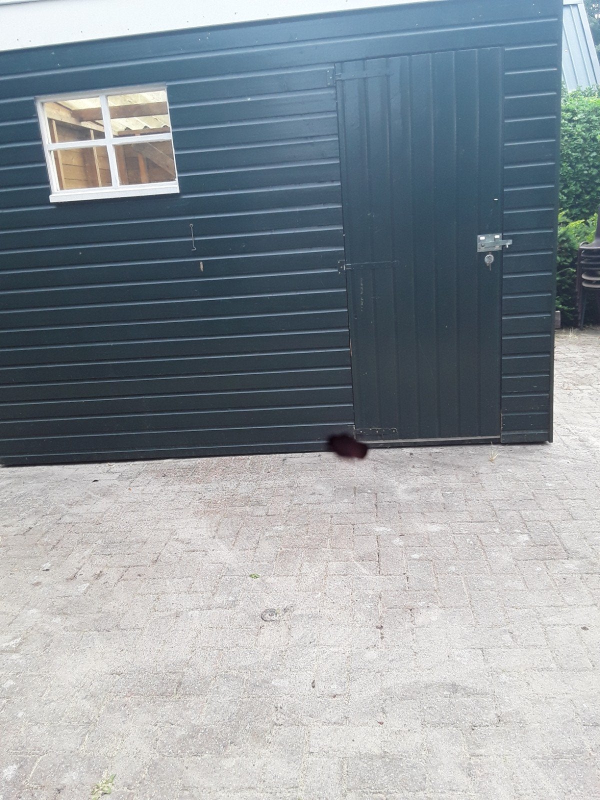 Schuurtje   Berging, Minder dan 250 cm, Schuur, Ophalen of Verzenden, 2 ramen
