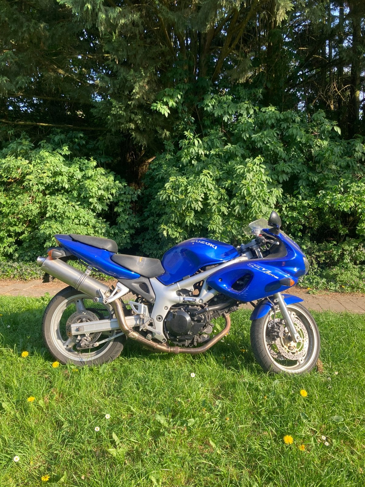Suzuki SV650S uit 1999 - Sportieve tourmotor, Motoren, Motoren | Suzuki, Particulier, Naked bike, meer dan 35 kW, 2 cilinders