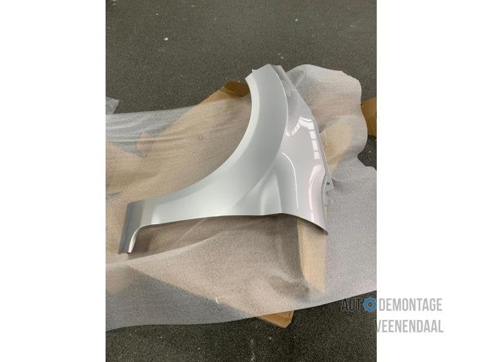 Scherm links-voor van een Ford Fiesta (MOONDUST), Auto-onderdelen, -, -, Nieuw, Ophalen of Verzenden