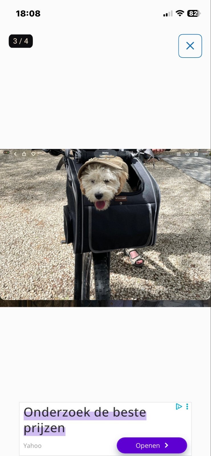 Honden of poezen fiets mand aan de stuur, Ophalen of Verzenden, Zo goed als nieuw