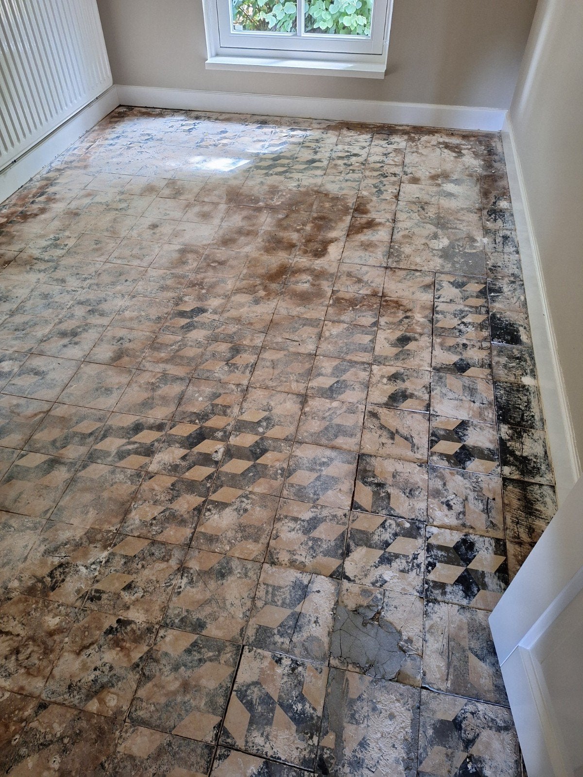 Oude cementtegels, Ophalen, Vierkant, Minder dan 50 cm