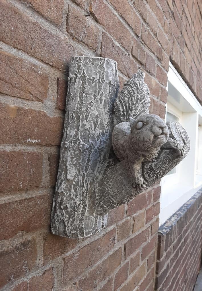Eekhoorn wanddecoratie betonnen beeld tuinbeeld beton, Ophalen of Verzenden