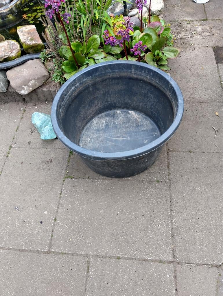 Ronde vijver bak, Ophalen of Verzenden, Gebruikt