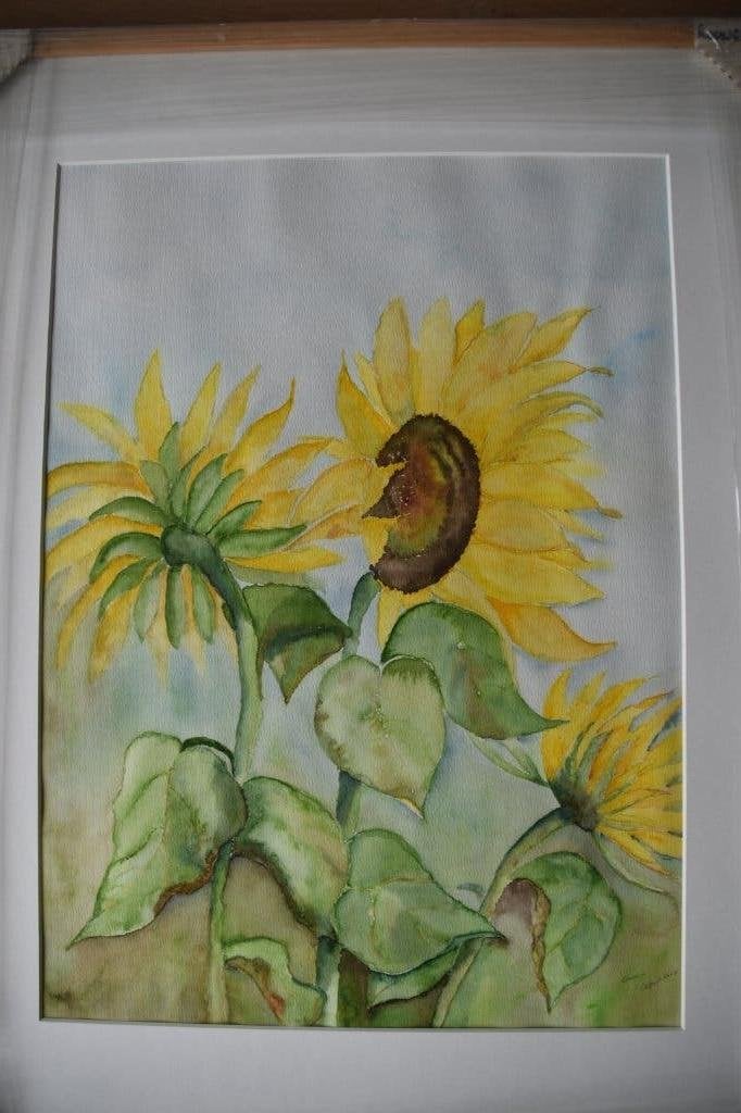 Handgemaakte aquarel: Zonnebloemen in lijst met passepartout, Realistisch, Origineel werk, Aquarel, Papier
