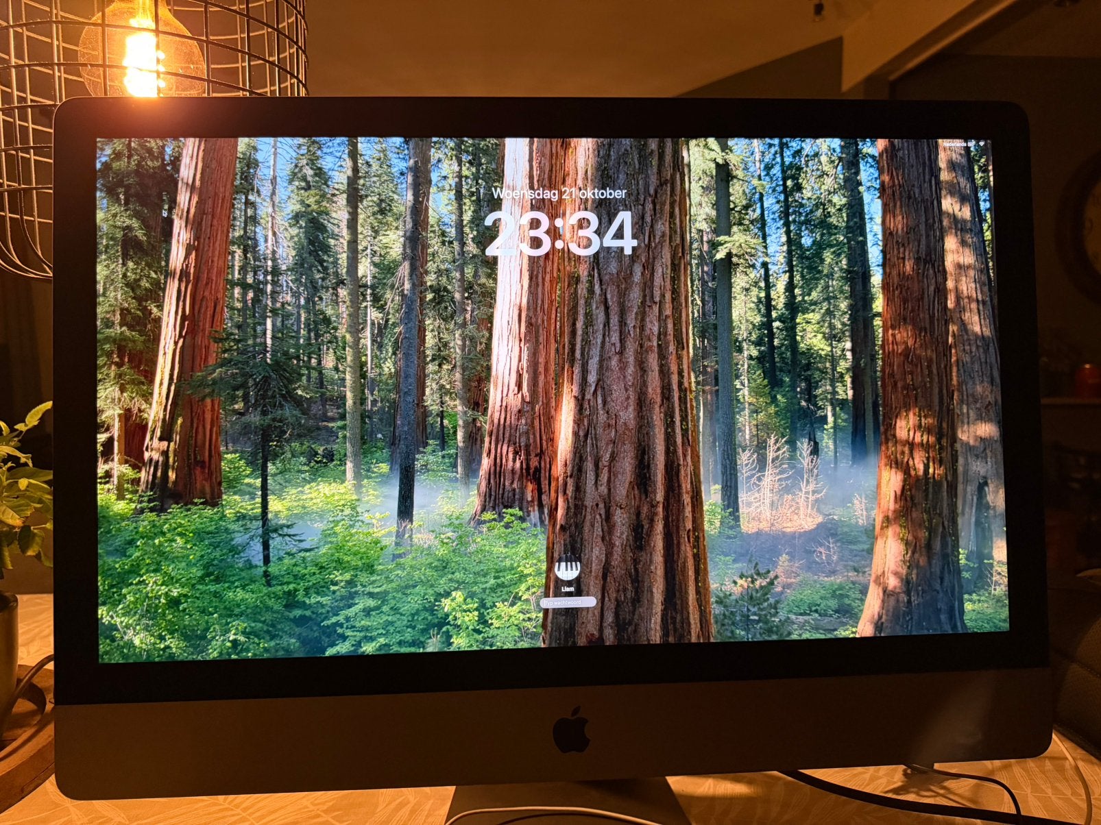 Apple iMac Pro 10-Core 3.0GHz - 27-Inch (5K, 2017) 64GB, 1TB, Computers en Software, Ophalen, 64 GB of meer, Gebruikt, SSD