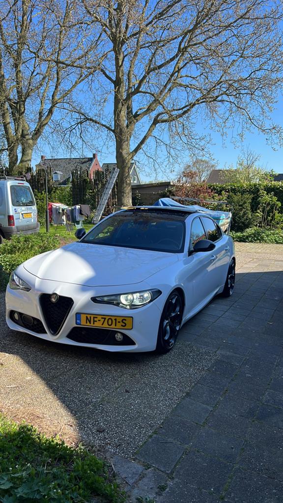 Alfa Romeo Giulia 2.2 JTD 242pk Aut 2016 Wit, Automaat, 745 kg, Achterwielaandrijving, 4 cilinders