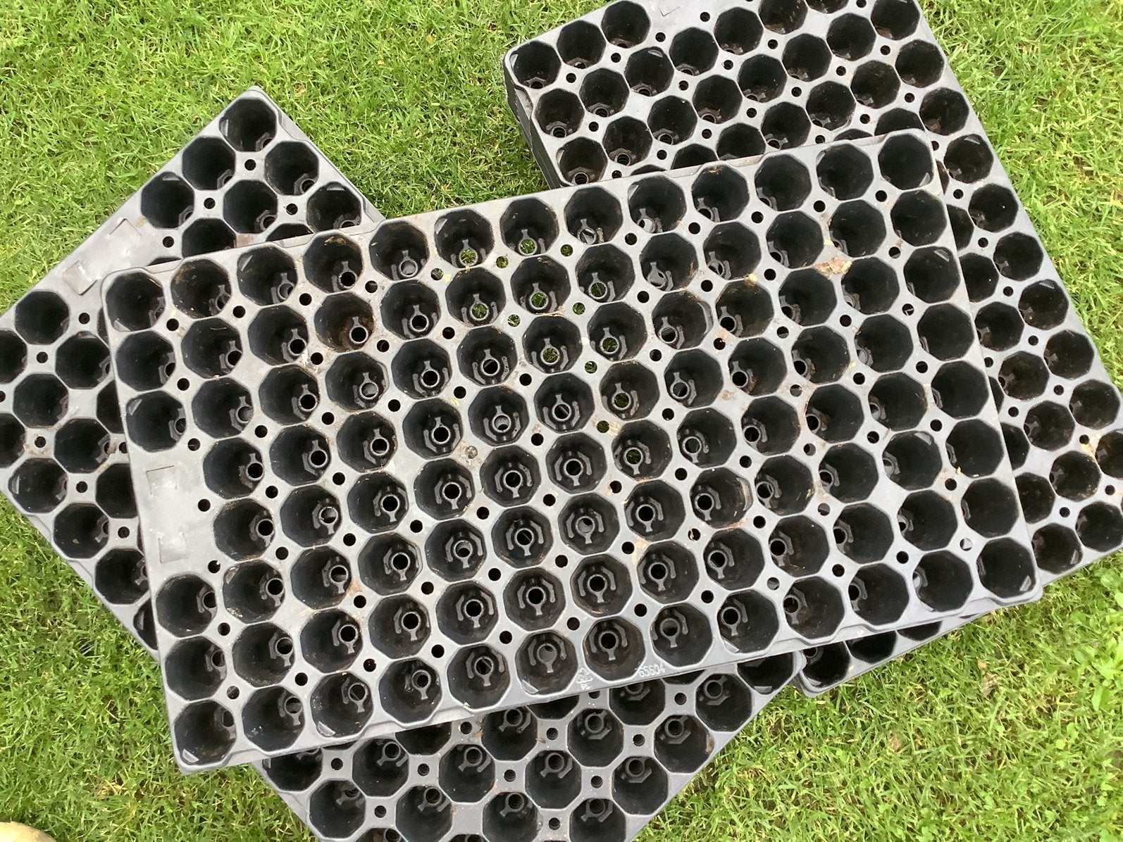 Stekbakken, kweek trays., Tuin en Terras, Kweekspullen, Ophalen of Verzenden, Zo goed als nieuw, Kweekbak