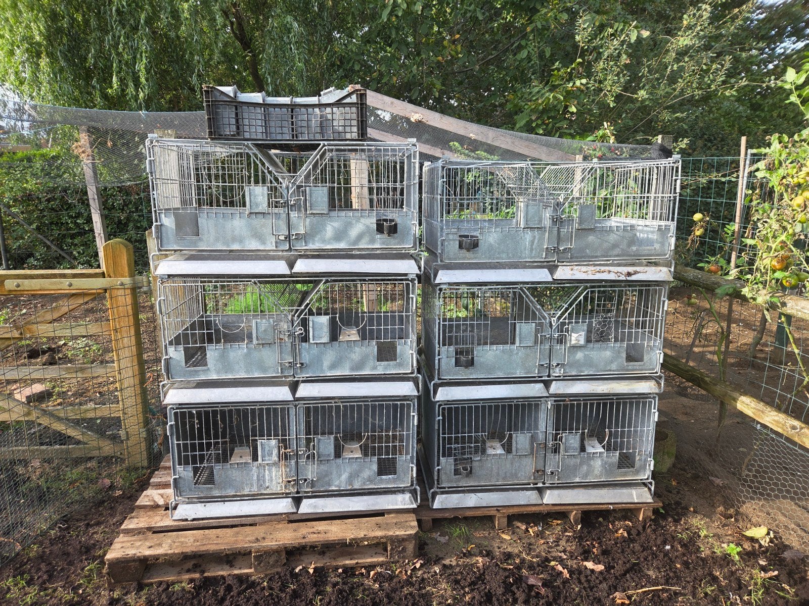 te koop ijzeren konijnenhokken, Dieren en Toebehoren, Kooi, Gebruikt, Konijn, 75 tot 110 cm