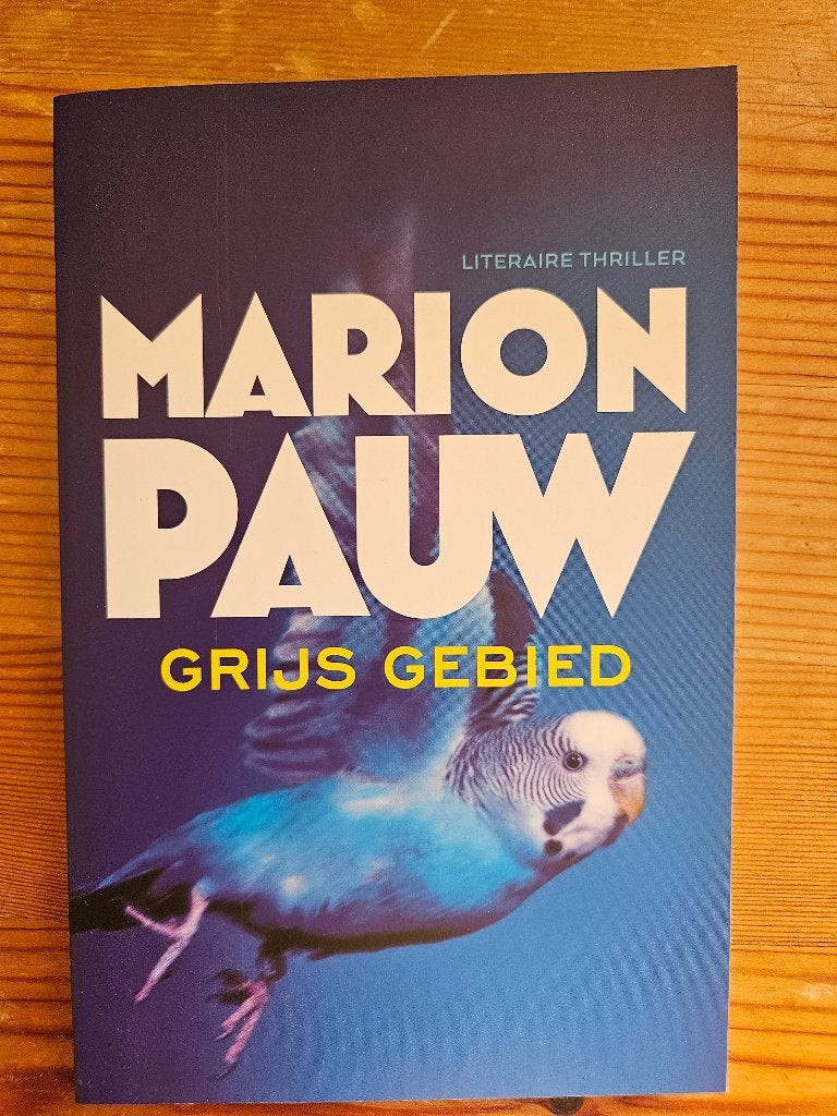 Marion Pauw - Grijs gebied, Ophalen of Verzenden, Zo goed als nieuw, Marion Pauw, Nederland