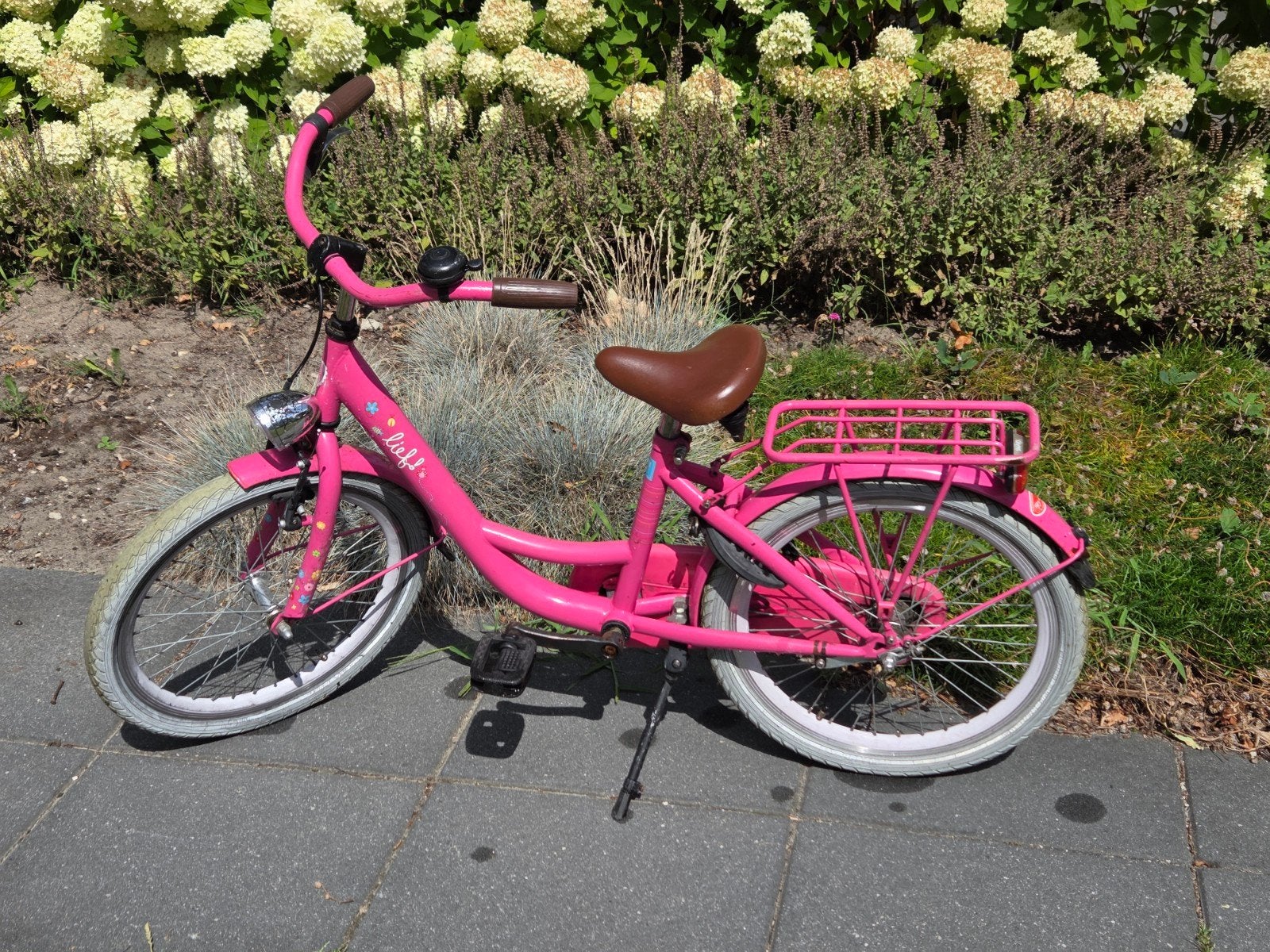 Roze kinderfiets 20 inch met terugtraprem, Fietsen en Brommers, Fietsen | Kinderfietsjes, Ophalen, Gebruikt, Lief!, Terugtraprem