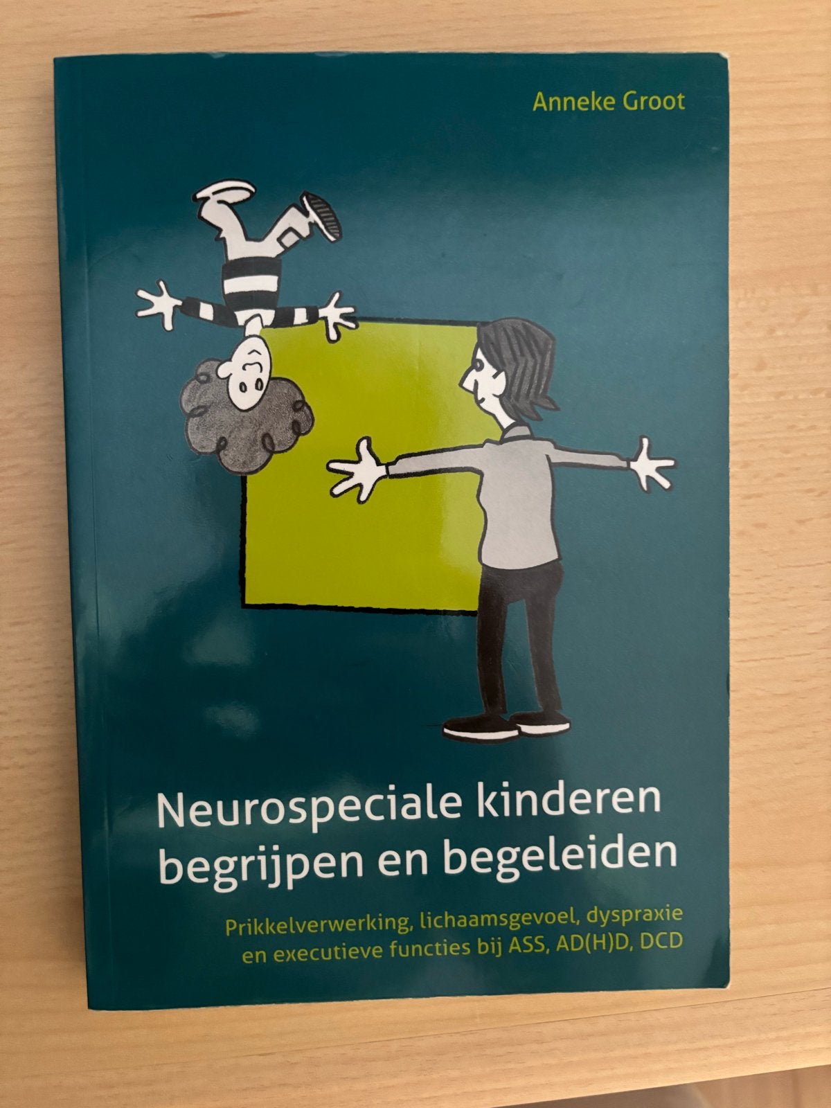 Neurospeciale kinderen begrijpen en begeleiden, Boeken, Ophalen of Verzenden, Gelezen, Opvoeding vanaf 10 jaar