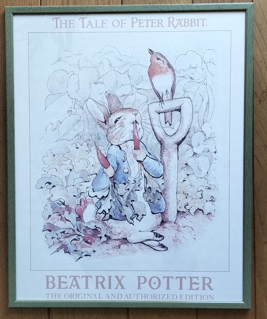 poster Beatrix Potter en botanische prent Spiraea laevigata, Ophalen, Ingelijst, Overige onderwerpen