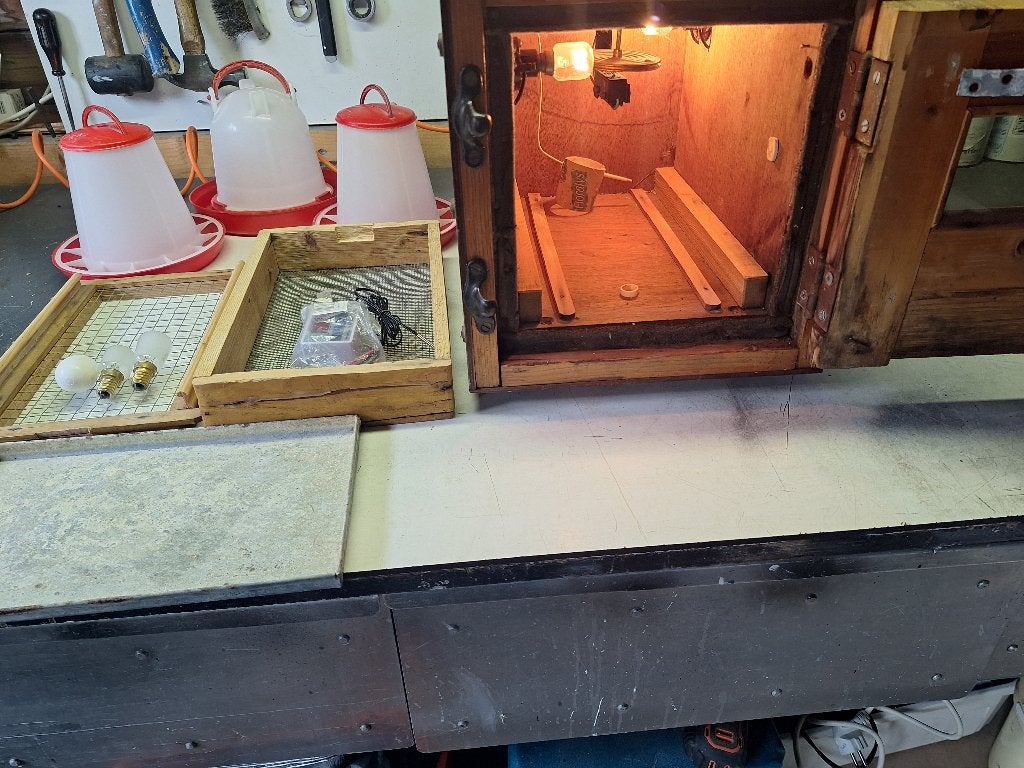 mooi compleet zet voor broeden., Dieren en Toebehoren, Ophalen of Verzenden, Zo goed als nieuw, Broedmachine