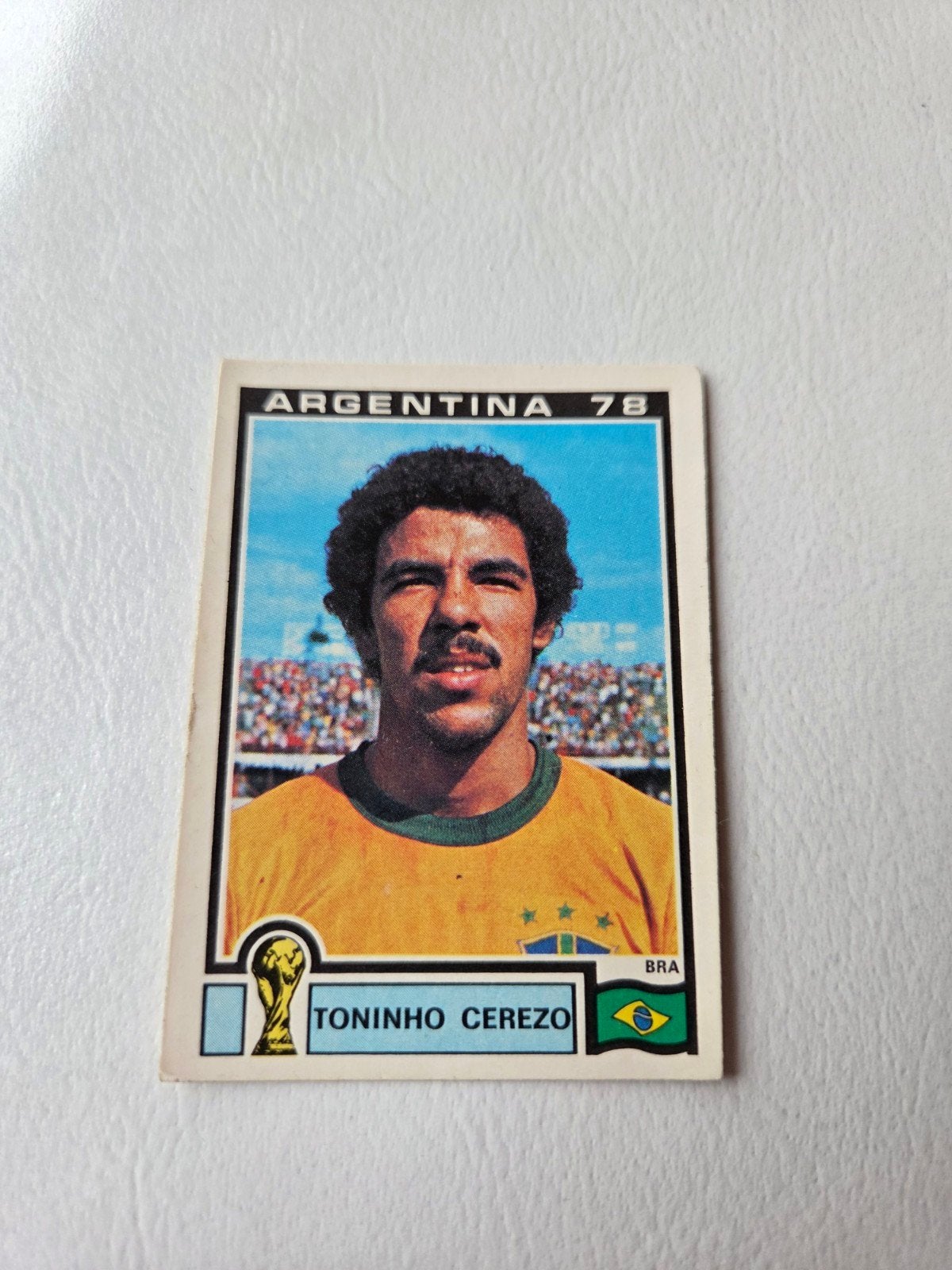 Panini WK 78, Ophalen of Verzenden, Zo goed als nieuw, Sticker