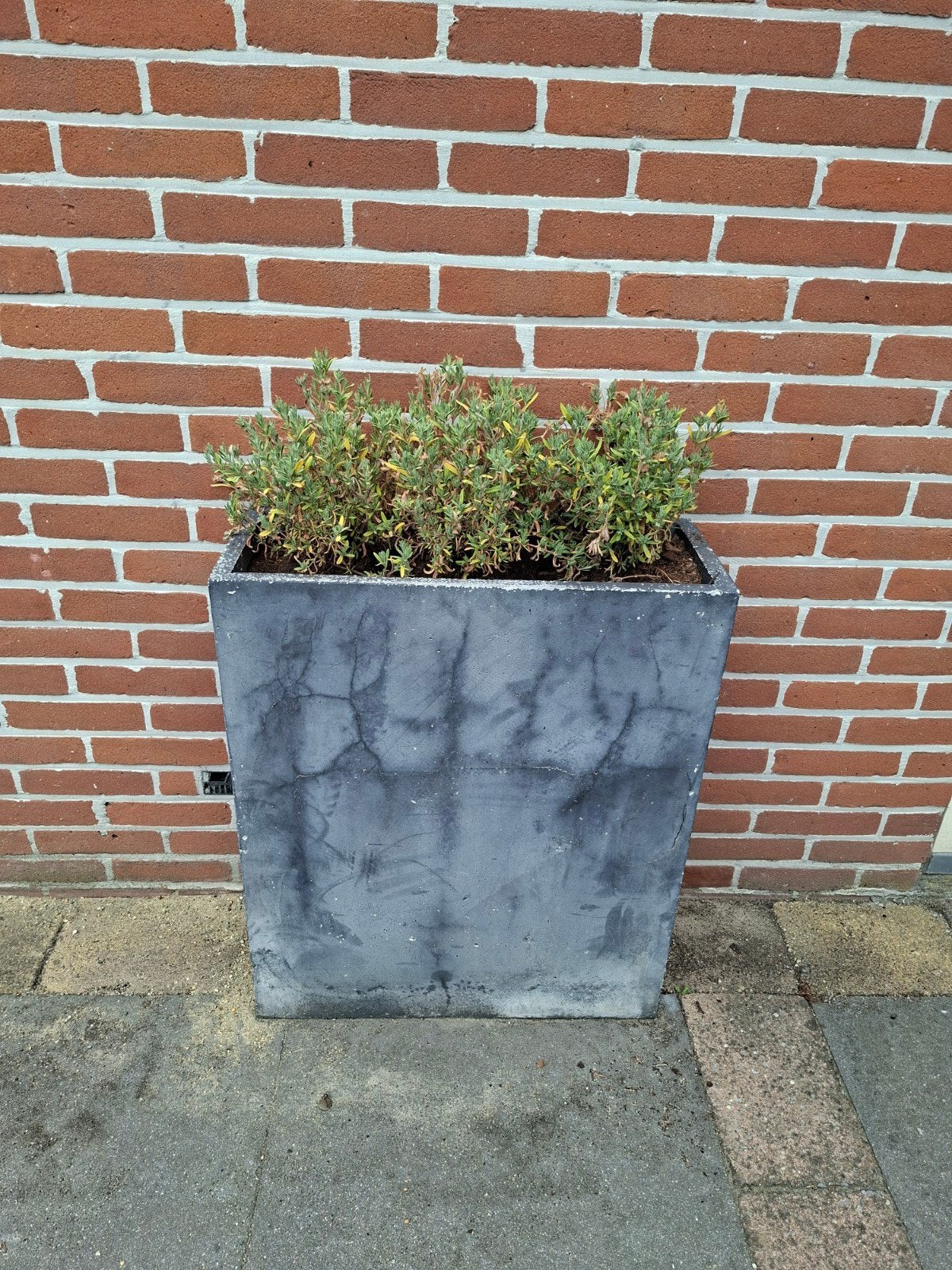 Grote plantenbak 72x60x25cm voor balkon/tuin, Ophalen, Gebruikt, Balkon, 60 tot 100 cm