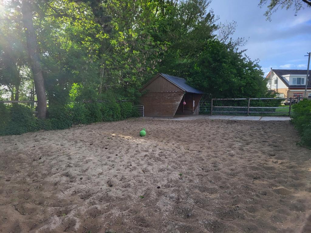 Buiten plekje  beschikbaar, Dieren en Toebehoren, Stalling en Weidegang, Weidegang