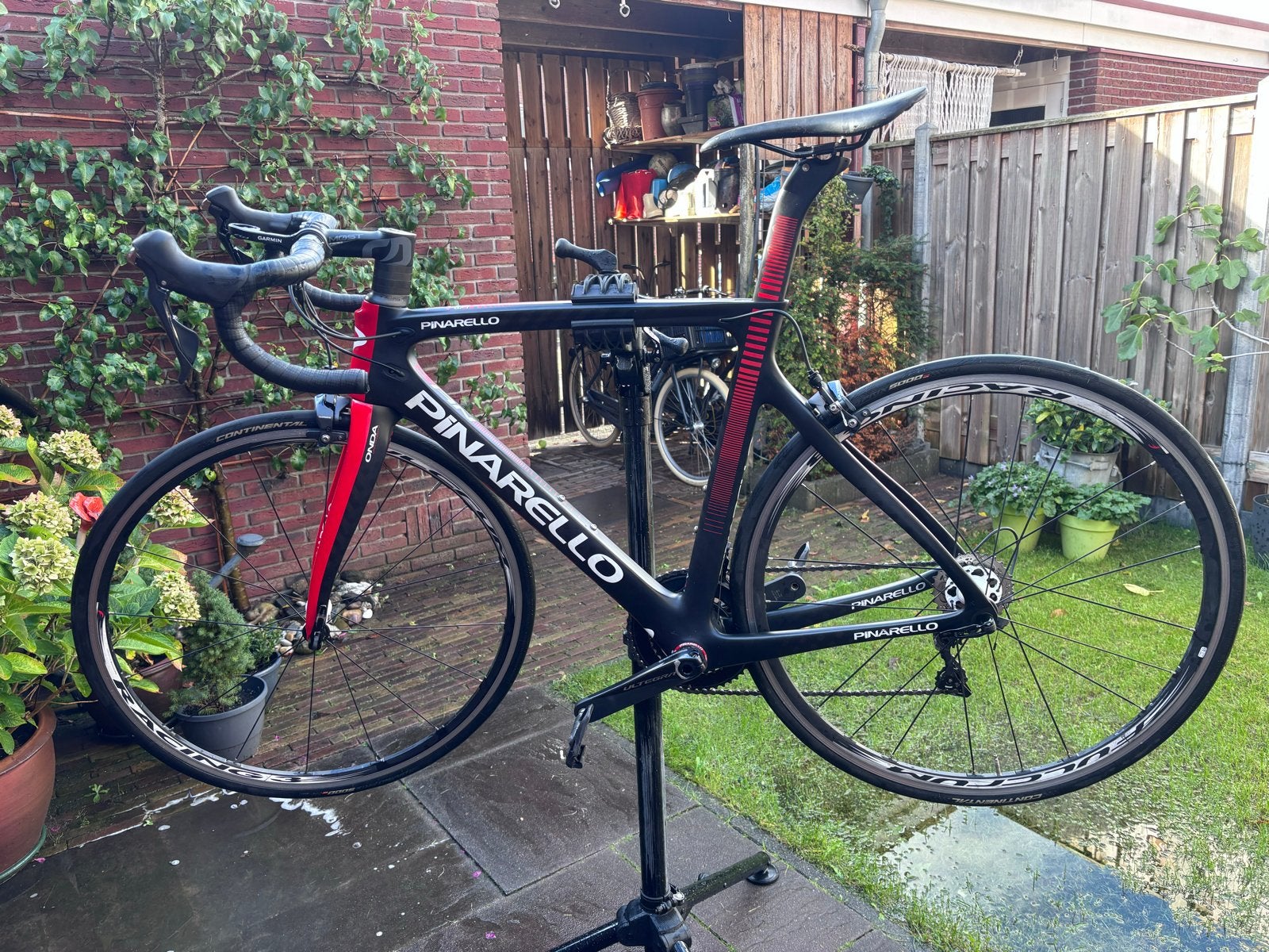 Pinarello Gan S Carbon Racefiets - Ultegra 8000 - Maat 53, 28 inch, Gebruikt, Carbon, Meer dan 20 versnellingen