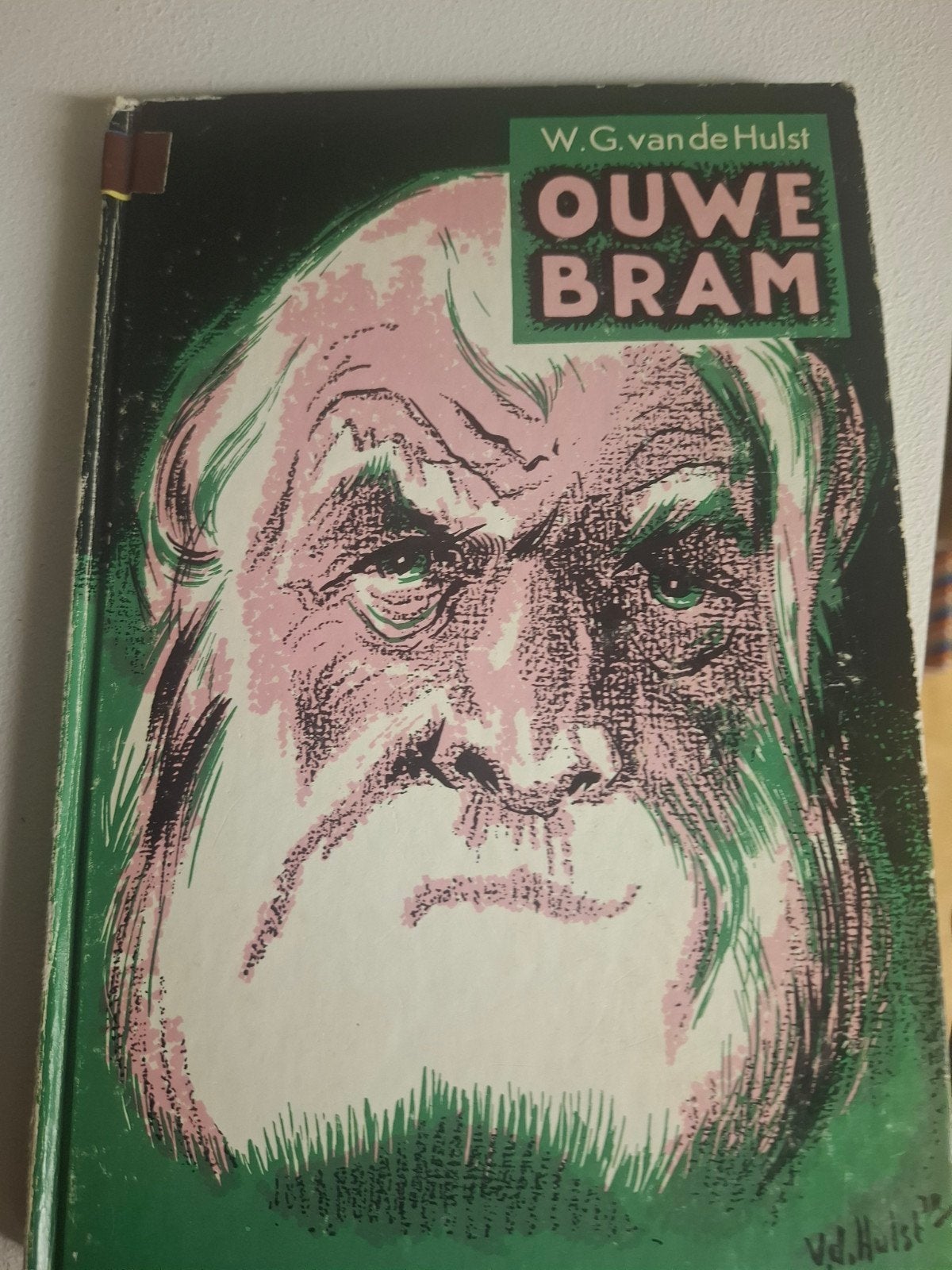 Ouwe Bram - W.G. van de Hulst (Gelezen), Boeken, Ophalen of Verzenden, Gelezen, W.G. van de Hulst, Fictie algemeen