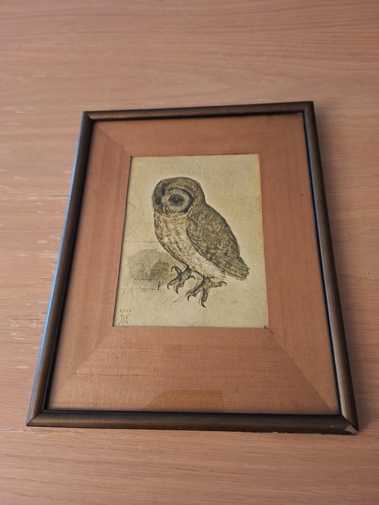 Vintage Uil Prent in Houten Lijst, Antiek en Kunst, Ophalen of Verzenden