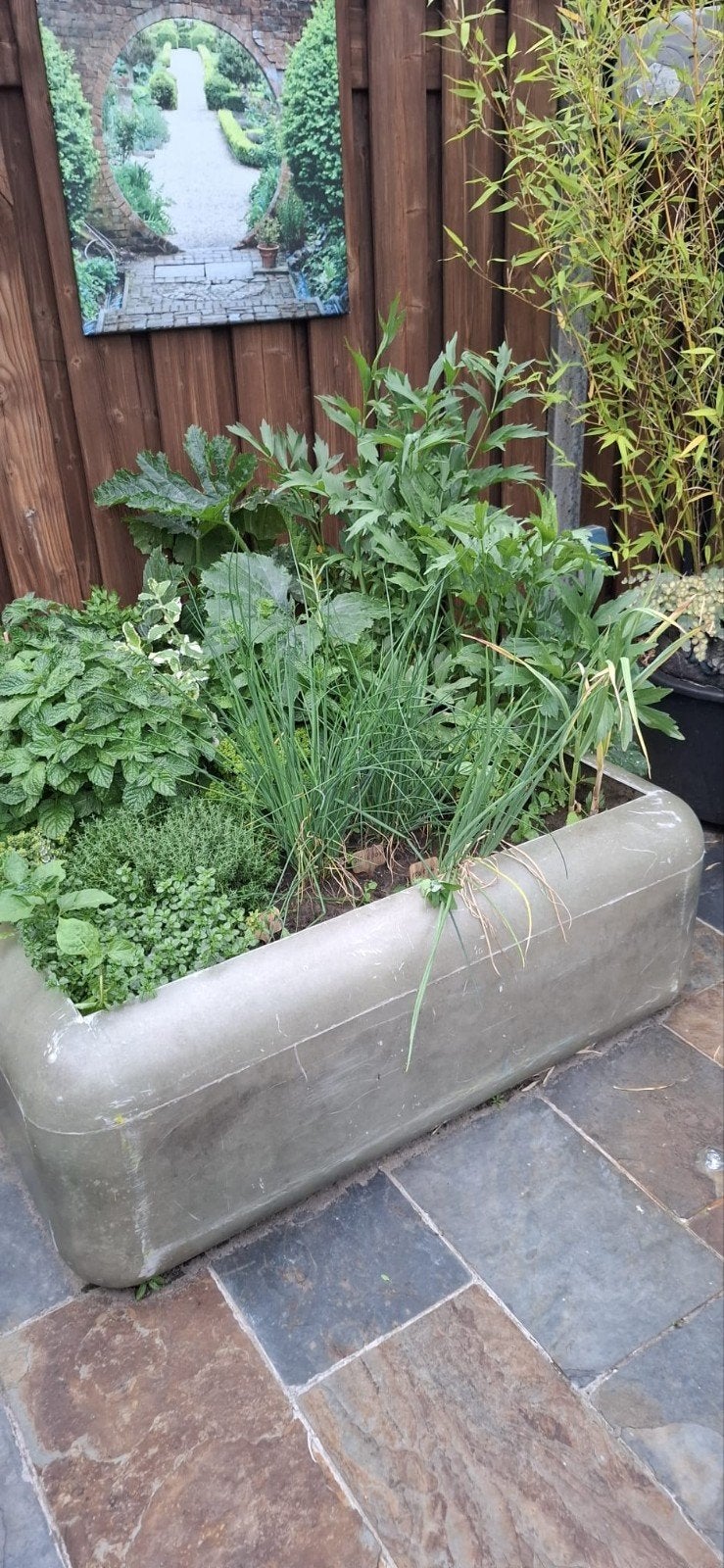 polyester plantenbak, Ophalen, Kunststof, Minder dan 30 cm, 100 cm of meer