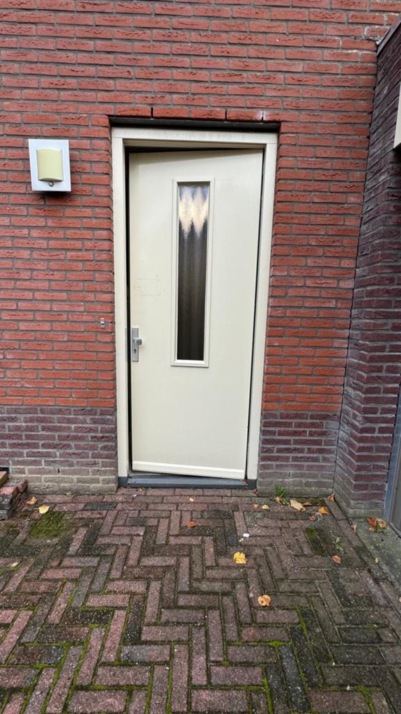 Gebruikte buitendeur met glas, Ophalen, Gebruikt, 80 tot 100 cm, 215 cm of meer
