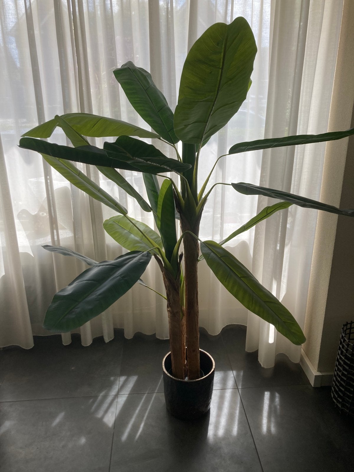 Kunstplant bananenplant (zonder extra pot op foto), Ophalen, Volledige schaduw, Overige soorten, In pot